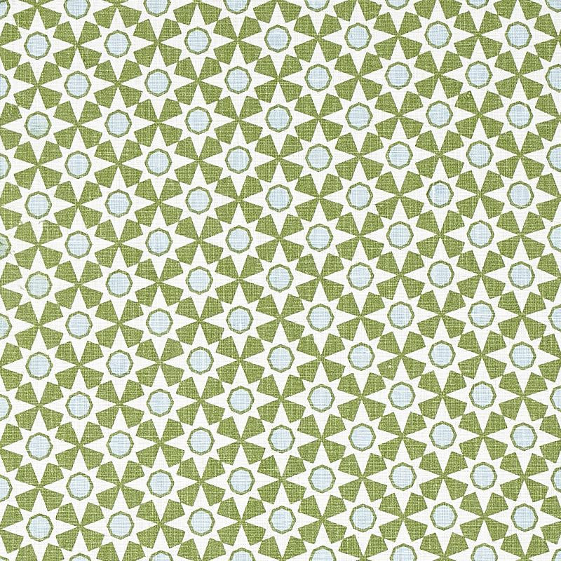 Serendipity Green 177961 by Schumacher Fabric Clique 2.75" - Fabric Carolina -