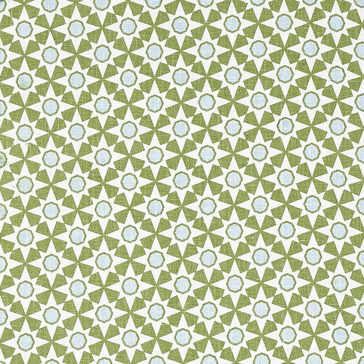 Serendipity Green 177961 by Schumacher Fabric Clique 2.75" - Fabric Carolina -