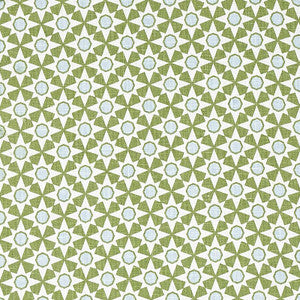 Serendipity Green 177961 by Schumacher Fabric