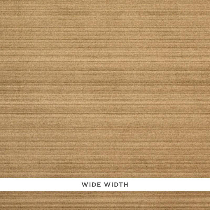 Danova Gold 5010032 by Schumacher Wallpaper High Performance Textured Wallcoverings - Fabric Carolina -