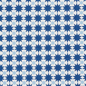 Cosmos Blue 177060 by Schumacher Fabric