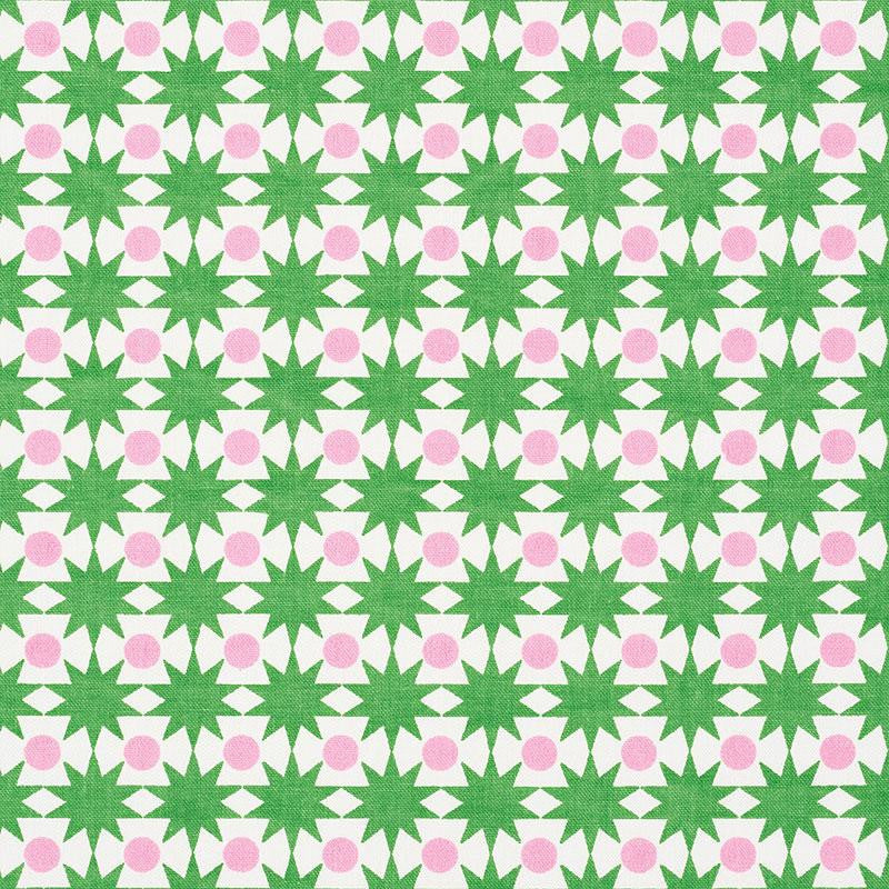 Cosmos Watermelon 177061 by Schumacher Fabric Studio Bon 1.0" - Fabric Carolina -