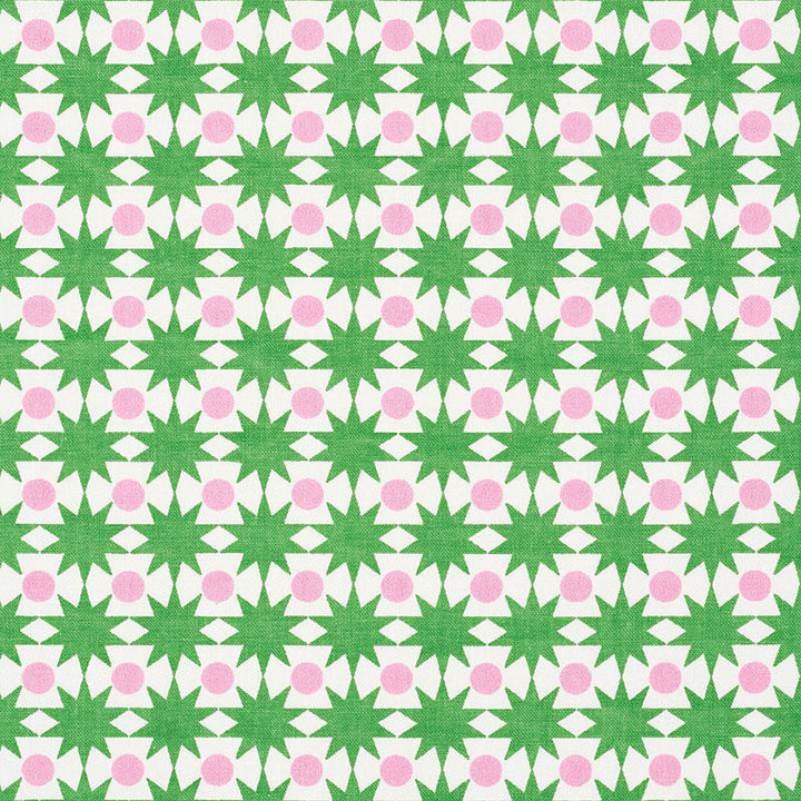 Cosmos Watermelon 177061 by Schumacher Fabric Studio Bon 1.0" - Fabric Carolina -