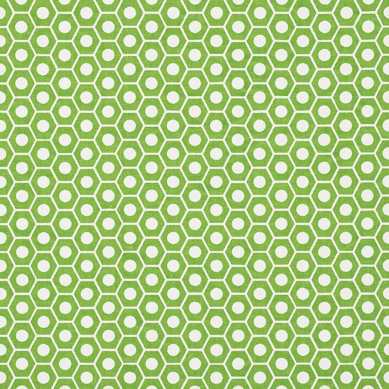 Queen B Green 177075 by Schumacher Fabric Studio Bon 1.25" - Fabric Carolina -