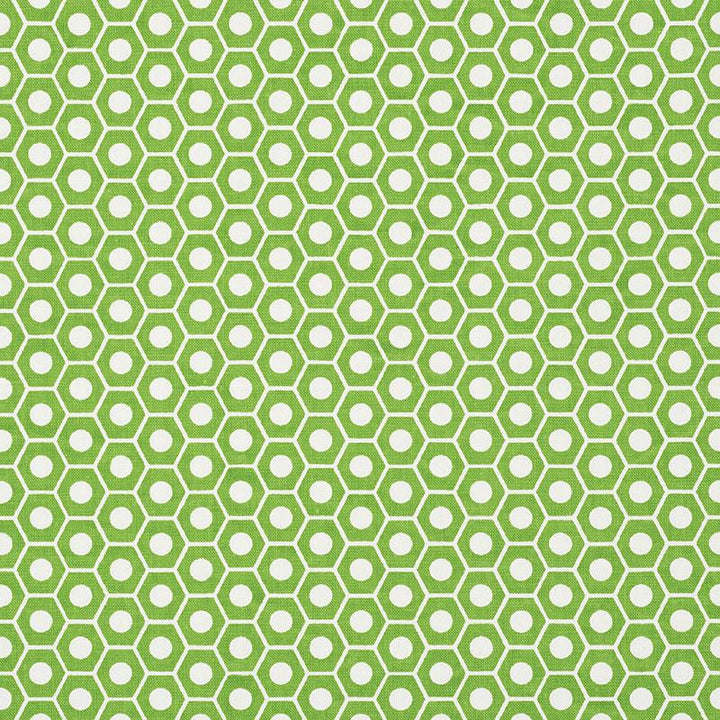 Queen B Green 177075 by Schumacher Fabric Studio Bon 1.25" - Fabric Carolina -