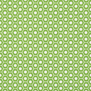 Queen B Green 177075 by Schumacher Fabric