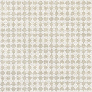 Stella Taupe 177081 by Schumacher Fabric