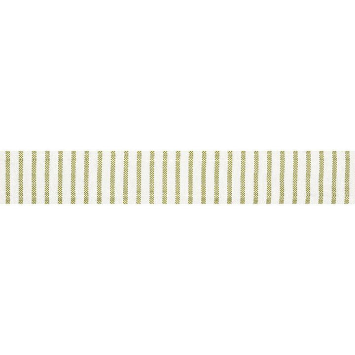 Salton Tape Leaf 72584 by Schumacher Trim Open Sky - Fabric Carolina -