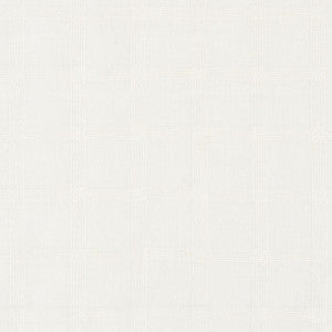 Pauline Check Casement Whitework 72073 by Schumacher Fabric