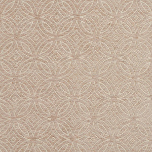 20810-03 by Charlotte Fabric