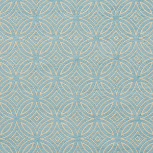 20810-04 by Charlotte Fabric