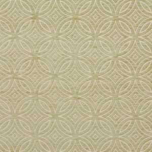 20810-06 by Charlotte Fabric