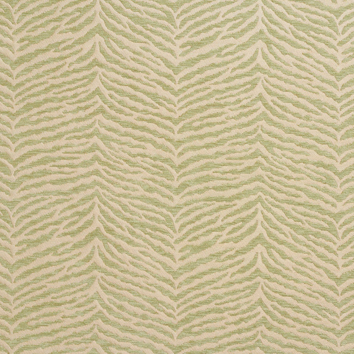 20870-06 by Charlotte Designer Fabric Chenille Patterns 100% Woven Polyester Asia Exceeds 70,000 Wyzenbeek Rubs (Heavy Duty) Horizontal: 7.25" x Vertical: 9" 54 Inches - Swanky Fabrics -
