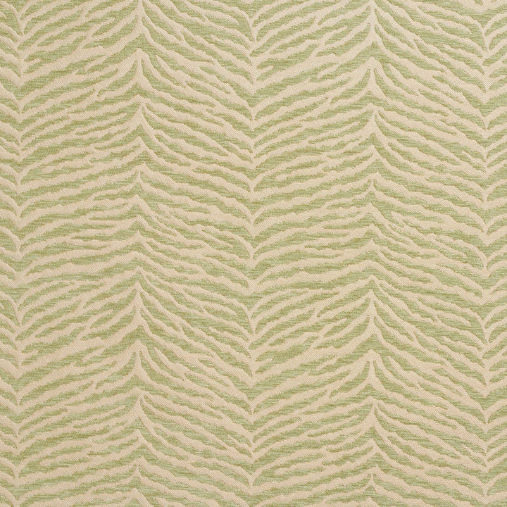 20870-06 by Charlotte Fabric Chenille Patterns 100% Woven Polyester Asia Exceeds 70,000 Wyzenbeek Rubs (Heavy Duty) </p><p>Repeat: Horizontal: 7.25" x Vertical: 9" 54 Inches - Fabric Carolina -