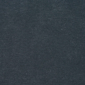 20900-02 by Charlotte Fabric