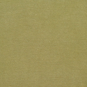 20900-03 by Charlotte Fabric