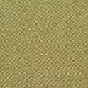 20900-03 by Charlotte Fabric