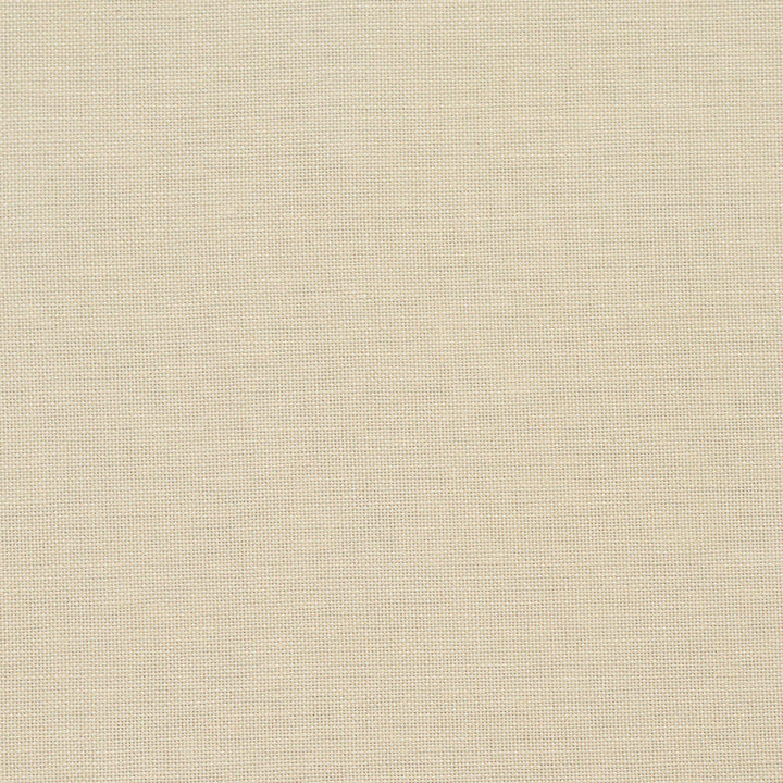 20900-05 by Charlotte Designer Fabric Embroidered Linens 44% Rayon, 30% Polyester, 26% Linen Asia Exceeds 120,000 Wyzenbeek Rubs (Heavy Duty) No Repeat 54 Inches - Swanky Fabrics -