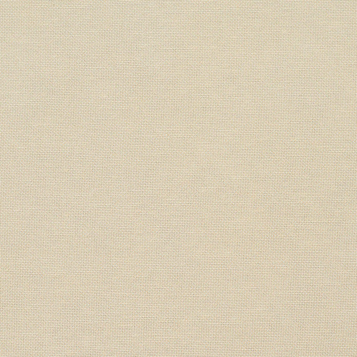 20900-05 by Charlotte Fabric Embroidered Linens 44% Rayon, 30% Polyester, 26% Linen Asia Exceeds 120,000 Wyzenbeek Rubs (Heavy Duty) No Repeat 54 Inches - Fabric Carolina -
