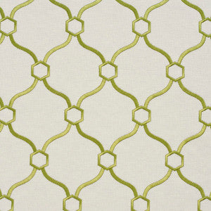 20910-10 by Charlotte Fabric
