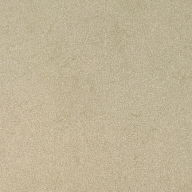 2092 73W6251 by JF Wallpaper SURROUNDINGS WALLCOVERINGS 100% Wallpaper UNITED KINGDOM (see sample) Horizontal: N/A and Vertical: N/A 20.00 - Fabric Carolina -