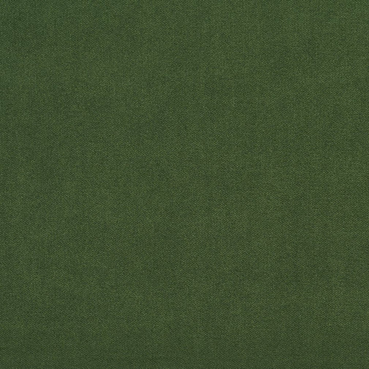 20940-04 by Charlotte Fabric Crypton Woven Velvet 100% Woven Polyester Made In USA Exceeds 200,000 Wyzenbeek Rubs (Heavy Duty) No Repeat 54 Inches - Fabric Carolina -