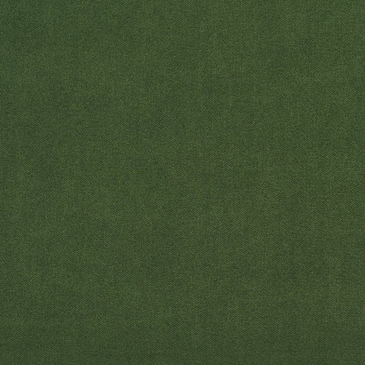 20940-04 by Charlotte Designer Fabric Crypton Woven Velvet 100% Woven Polyester Made In USA Exceeds 200,000 Wyzenbeek Rubs (Heavy Duty) </p><p>Repeat: No Repeat 54 Inches - Swanky Fabrics -