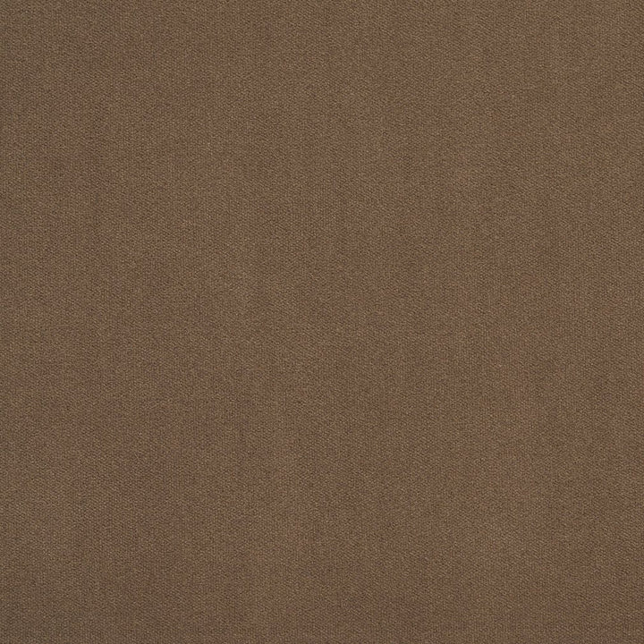 20940-05 by Charlotte Fabric Crypton Woven Velvet 100% Woven Polyester Made In USA Exceeds 200,000 Wyzenbeek Rubs (Heavy Duty) No Repeat 54 Inches - Fabric Carolina -