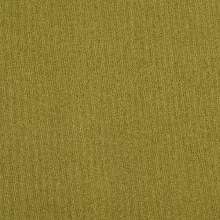 20940-08 by Charlotte Fabric Crypton Woven Velvet 100% Woven Polyester Made In USA Exceeds 200,000 Wyzenbeek Rubs (Heavy Duty) </p><p>Repeat: 54 Inches - Fabric Carolina -