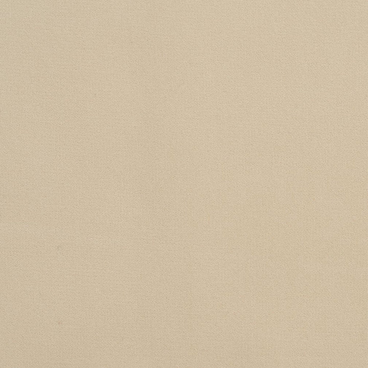 20940-09 by Charlotte Designer Fabric Crypton Woven Velvet 100% Woven Polyester Made In USA Exceeds 200,000 Wyzenbeek Rubs (Heavy Duty) No Repeat 54 Inches - Swanky Fabrics -
