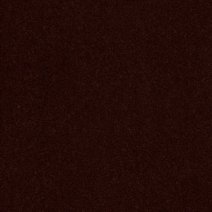 20940-10 by Charlotte Designer Fabric Crypton Woven Velvet 100% Woven Polyester Made In USA Exceeds 200,000 Wyzenbeek Rubs (Heavy Duty) No Repeat 54 Inches - Swanky Fabrics -