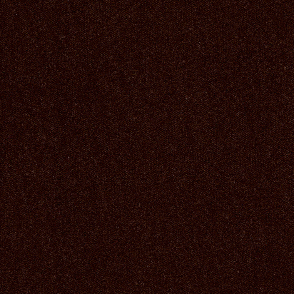 20940-10 by Charlotte Designer Fabric Crypton Woven Velvet 100% Woven Polyester Made In USA Exceeds 200,000 Wyzenbeek Rubs (Heavy Duty) No Repeat 54 Inches - Swanky Fabrics -