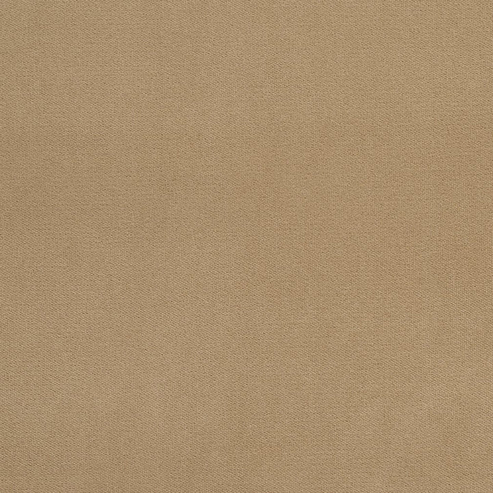 20940-14 by Charlotte Fabric Crypton Woven Velvet 100% Woven Polyester Made In USA Exceeds 200,000 Wyzenbeek Rubs (Heavy Duty) </p><p>Repeat: No Repeat 54 Inches - Fabric Carolina -