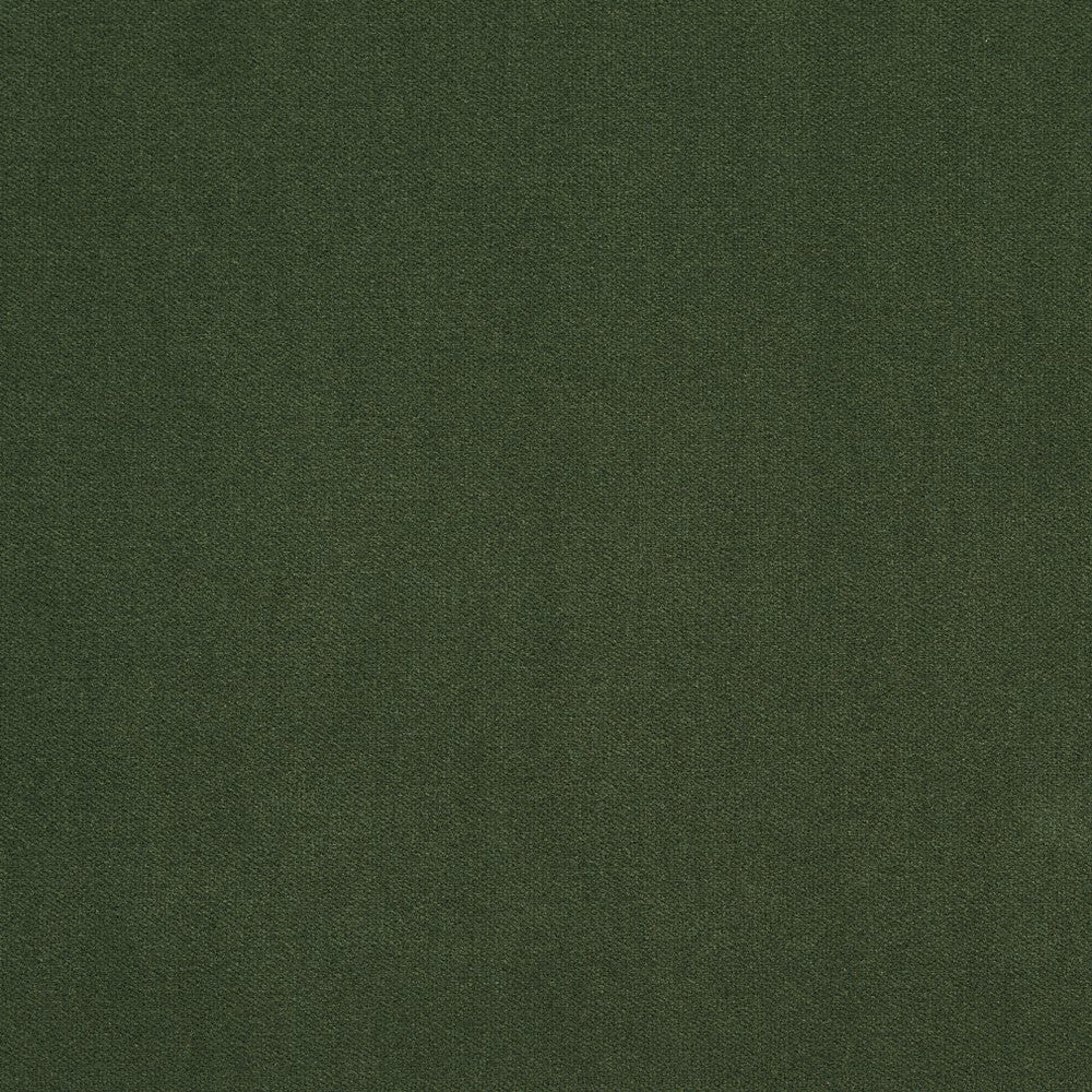 20940-25 by Charlotte Fabric Crypton Woven Velvet 100% Woven Polyester Made In USA Exceeds 200,000 Wyzenbeek Rubs (Heavy Duty) </p><p>Repeat: 54 Inches - Fabric Carolina -
