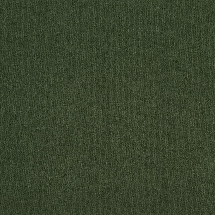 20940-25 by Charlotte Fabric Crypton Woven Velvet 100% Woven Polyester Made In USA Exceeds 200,000 Wyzenbeek Rubs (Heavy Duty) No Repeat 54 Inches - Fabric Carolina -