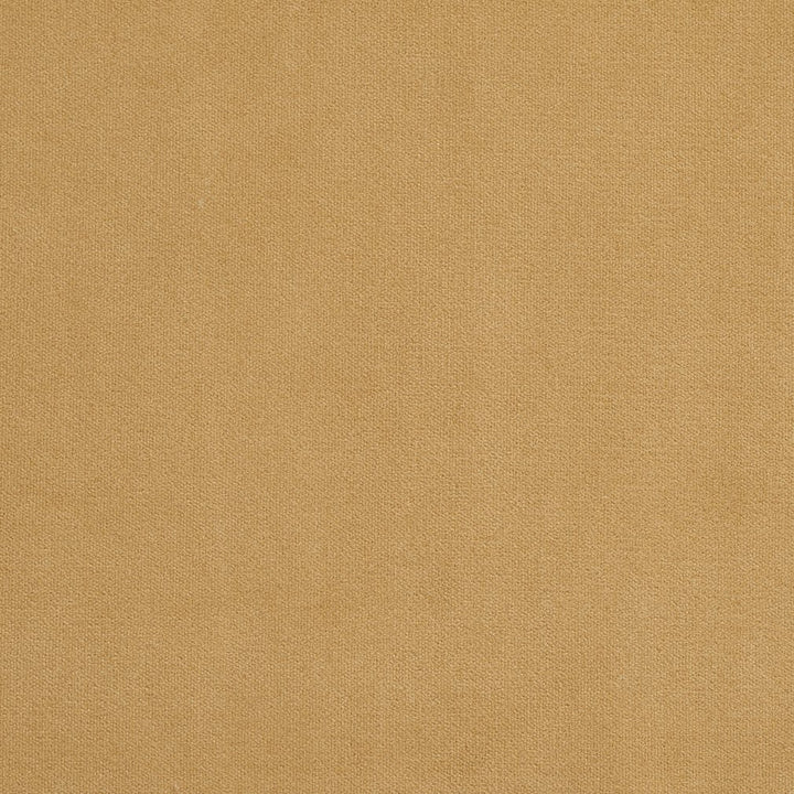 20940-26 by Charlotte Fabric Crypton Woven Velvet 100% Woven Polyester Made In USA Exceeds 200,000 Wyzenbeek Rubs (Heavy Duty) No Repeat 54 Inches - Fabric Carolina -