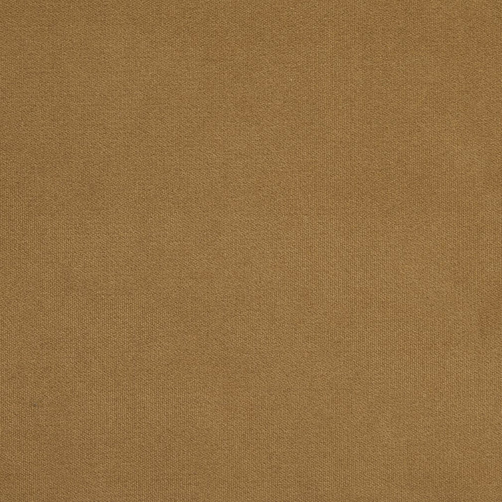 20940-32 by Charlotte Fabric Crypton Woven Velvet 100% Woven Polyester Made In USA Exceeds 200,000 Wyzenbeek Rubs (Heavy Duty) </p><p>Repeat: No Repeat 54 Inches - Fabric Carolina -