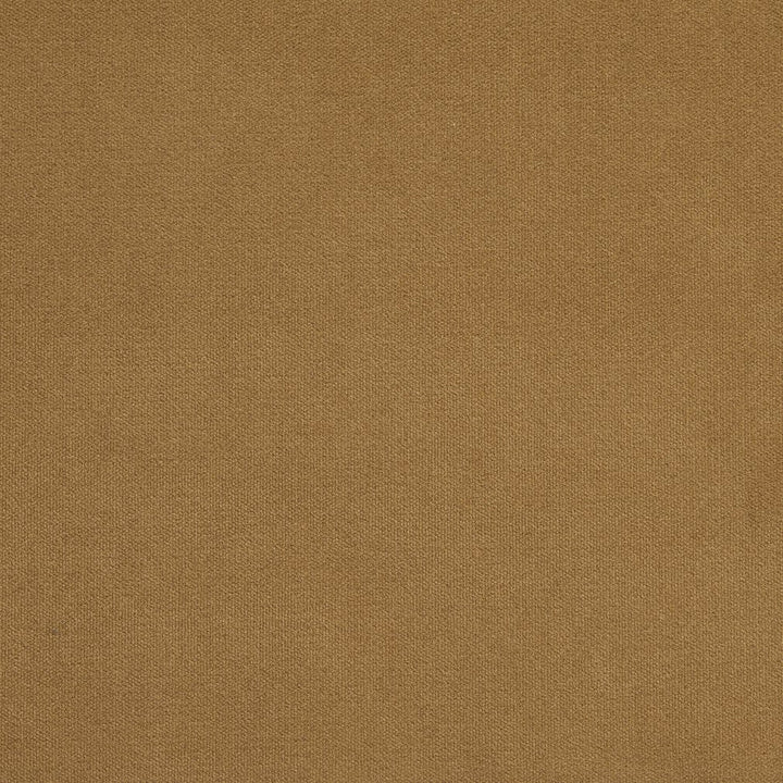 20940-32 by Charlotte Designer Fabric Crypton Woven Velvet 100% Woven Polyester Made In USA Exceeds 200,000 Wyzenbeek Rubs (Heavy Duty) No Repeat 54 Inches - Swanky Fabrics -