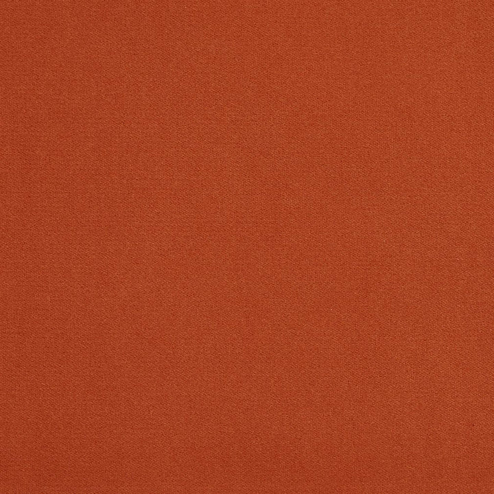 20940-36 by Charlotte Designer Fabric Crypton Woven Velvet 100% Woven Polyester Made In USA Exceeds 200,000 Wyzenbeek Rubs (Heavy Duty) No Repeat 54 Inches - Swanky Fabrics -