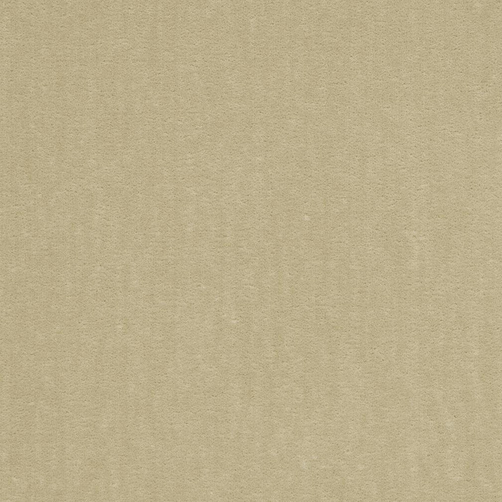 20950-02 by Charlotte Fabric Faux Mohair 100% Woven Polyester Asia Exceeds 100,000 Wyzenbeek Rubs (Heavy Duty) </p><p>Repeat: No Repeat 54 Inches - Fabric Carolina -