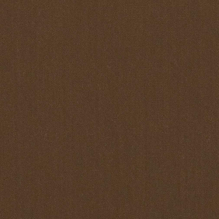 20950-05 by Charlotte Fabric Faux Mohair 100% Woven Polyester Mohair Asia Exceeds 100,000 Wyzenbeek Rubs (Heavy Duty) No Repeat 54 Inches - Fabric Carolina -