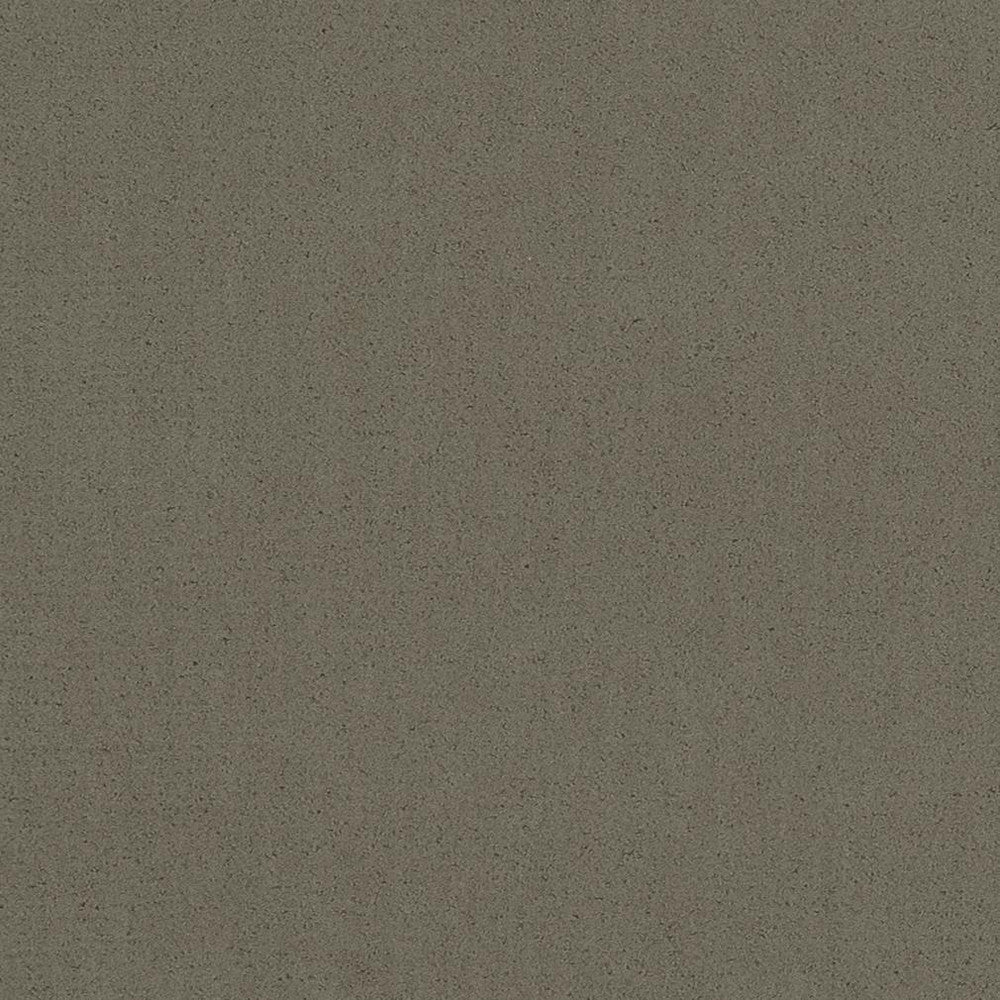 20950-06 by Charlotte Fabric Faux Mohair 100% Woven Polyester Mohair Asia Exceeds 100,000 Wyzenbeek Rubs (Heavy Duty) No Repeat 54 Inches - Fabric Carolina -