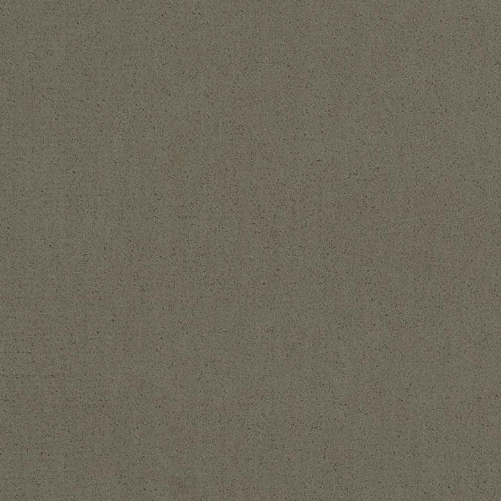 20950-06 by Charlotte Fabric Faux Mohair 100% Woven Polyester Asia Exceeds 100,000 Wyzenbeek Rubs (Heavy Duty) </p><p>Repeat: No Repeat 54 Inches - Fabric Carolina -