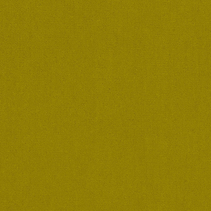 20950-07 by Charlotte Fabric Faux Mohair 100% Woven Polyester Asia Exceeds 100,000 Wyzenbeek Rubs (Heavy Duty) </p><p>Repeat: No Repeat 54 Inches - Fabric Carolina -