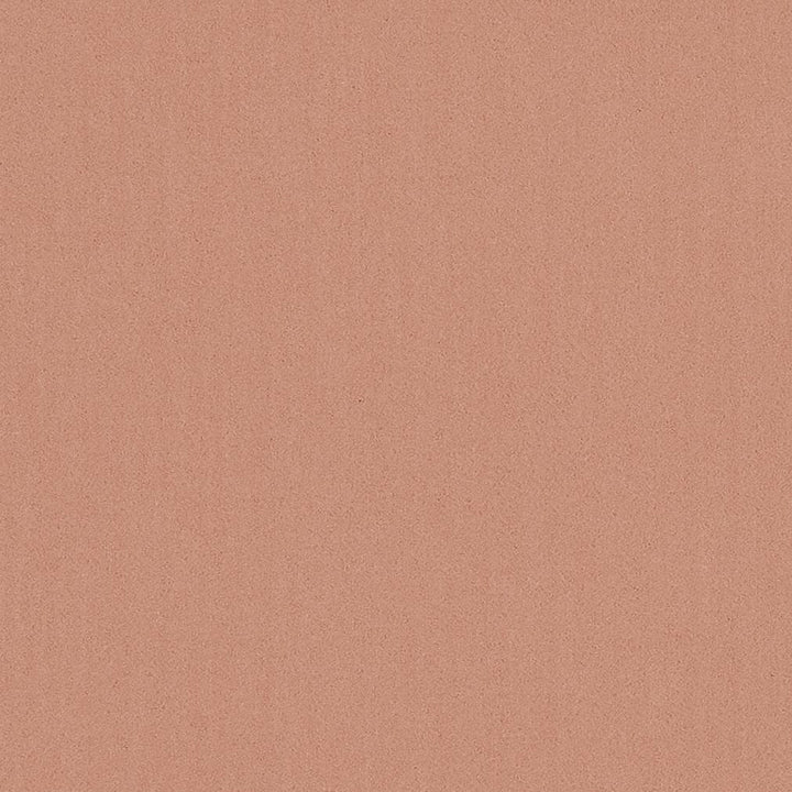 20950-09 by Charlotte Fabric Faux Mohair 100% Woven Polyester Mohair Asia Exceeds 100,000 Wyzenbeek Rubs (Heavy Duty) No Repeat 54 Inches - Fabric Carolina -
