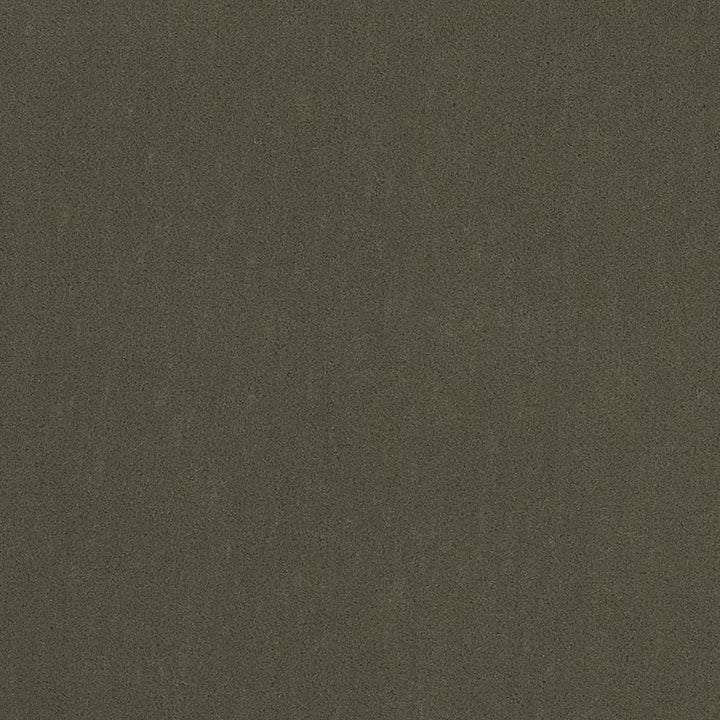 20950-10 by Charlotte Fabric Faux Mohair 100% Woven Polyester Asia Exceeds 100,000 Wyzenbeek Rubs (Heavy Duty) </p><p>Repeat: No Repeat 54 Inches - Fabric Carolina -