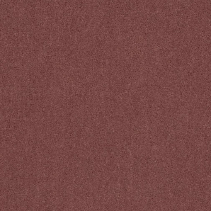 20950-12 by Charlotte Fabric Faux Mohair 100% Woven Polyester Mohair Asia Exceeds 100,000 Wyzenbeek Rubs (Heavy Duty) No Repeat 54 Inches - Fabric Carolina -