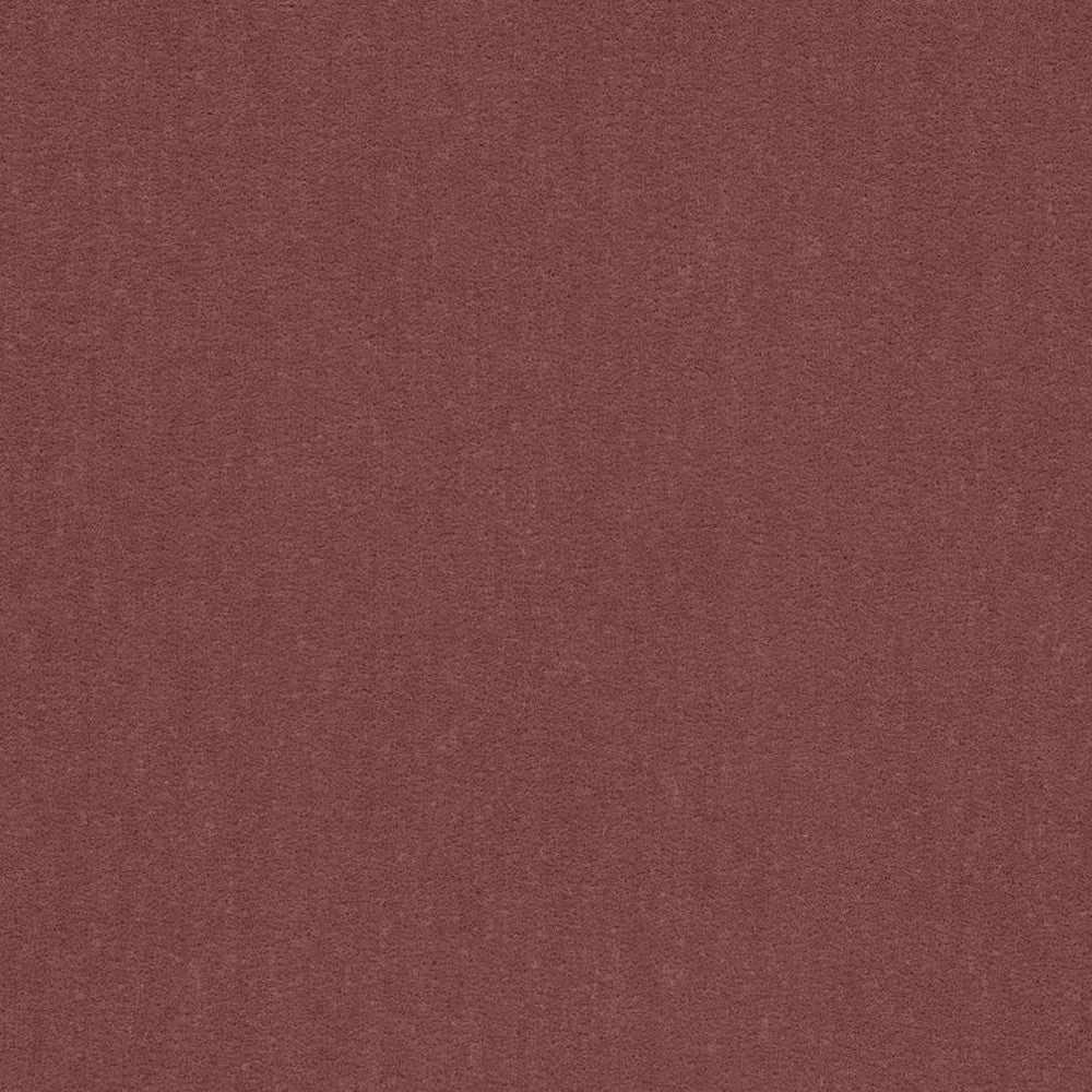 20950-12 by Charlotte Fabric Faux Mohair 100% Woven Polyester Mohair Asia Exceeds 100,000 Wyzenbeek Rubs (Heavy Duty) No Repeat 54 Inches - Fabric Carolina -