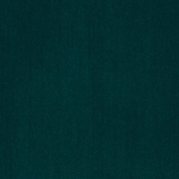 20950-13 by Charlotte Fabric Faux Mohair 100% Woven Polyester Mohair Asia Exceeds 100,000 Wyzenbeek Rubs (Heavy Duty) No Repeat 54 Inches - Fabric Carolina -