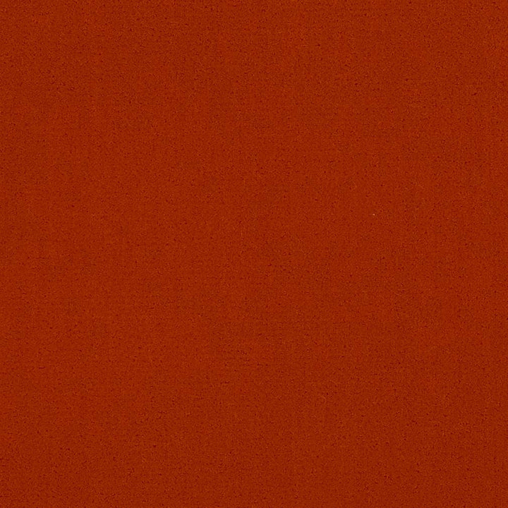 20950-14 by Charlotte Fabric Faux Mohair 100% Woven Polyester Mohair Asia Exceeds 100,000 Wyzenbeek Rubs (Heavy Duty) No Repeat 54 Inches - Fabric Carolina -